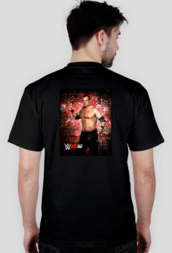 Wwe 16