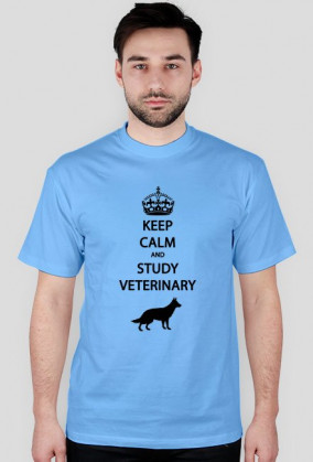 Study Veterinary