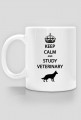 Study Veterinary