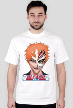 Bleach Ichigo anime manga
