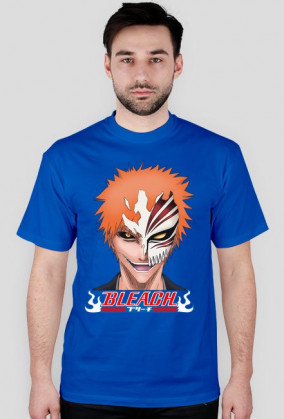 Bleach Ichigo anime manga