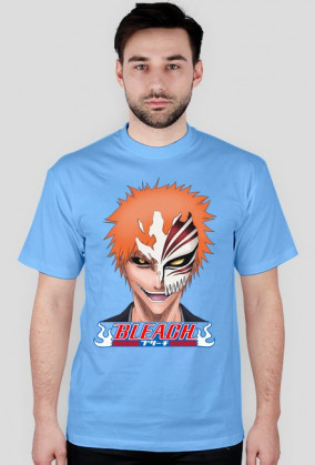 Bleach Ichigo anime manga