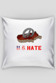 U.S.HATE