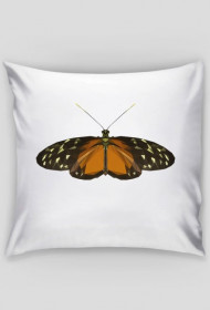 QTshop - MOTYL butterfly poszewka na poduszkę jednostronna