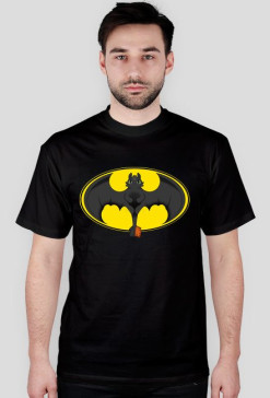 Fury & Batman