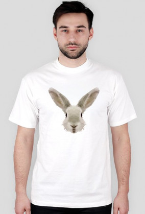 QTshop - KRÓLIK rabbit męska wszystkie kolory