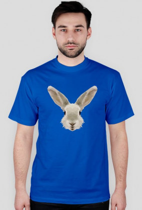QTshop - KRÓLIK rabbit męska wszystkie kolory
