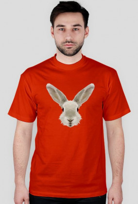 QTshop - KRÓLIK rabbit męska wszystkie kolory