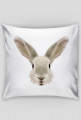 QTshop - KRÓLIK rabbit poszewka na poduszkę jednostronna