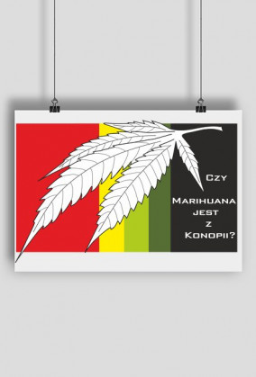 Plakat - Czy Marihuana jest z konopii