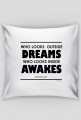 Who Looks Outside Dreams, Who Looks Inside Awakes