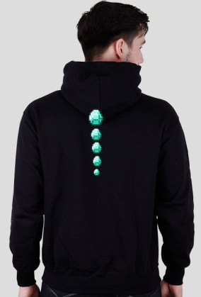 Bluza