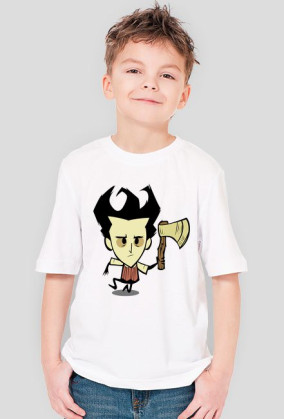 Don't Starve