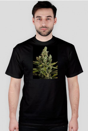 Koszulka marihuana