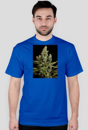 Koszulka marihuana