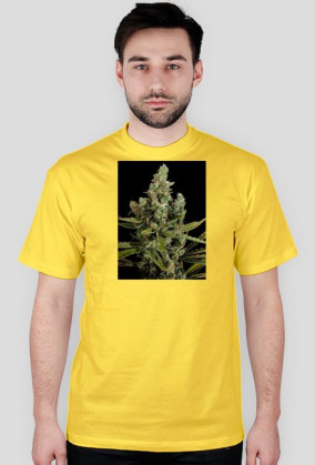 Koszulka marihuana