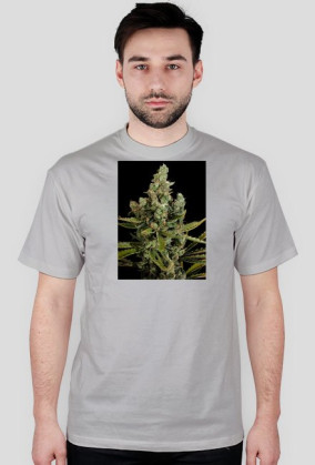 Koszulka marihuana