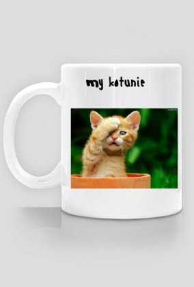 Kotunie