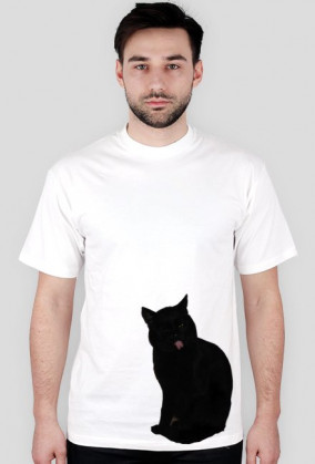 Koszulka Zły Kot/T-shirt Mad Cat