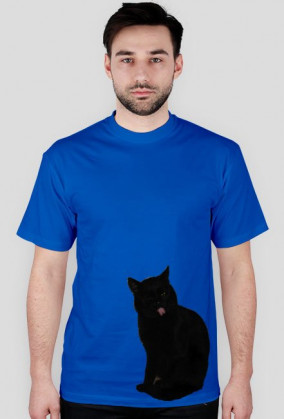 Koszulka Zły Kot/T-shirt Mad Cat