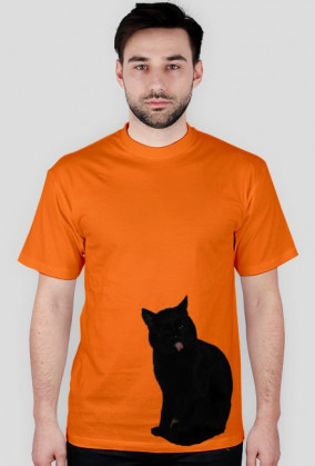 Koszulka Zły Kot/T-shirt Mad Cat