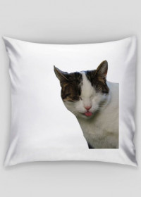 Poduszka Kici Język/Pillow Kitty Tongue
