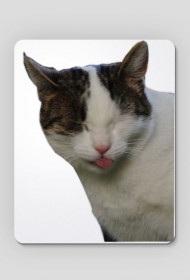 Podkładka Kici Język/Maousepad Kitty Tongue