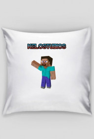 Poduszka 'Przygoda steva"