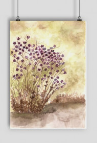 KWIATY - Primrose&Pansy, farby wodne