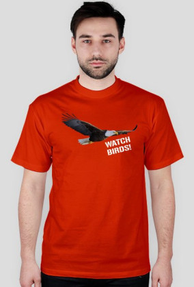 Watch birds2