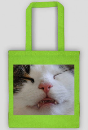 Torba Śpioch/Bag Sleepyhead