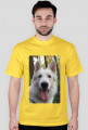 Smiling Dog