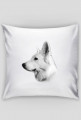 Daron White Dog Pillow