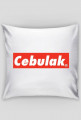 Podusia Cebulak