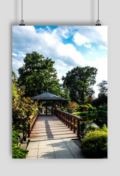 Japanese garden_02