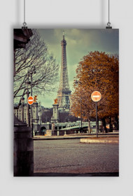 A view of the Eiffel tower from the park