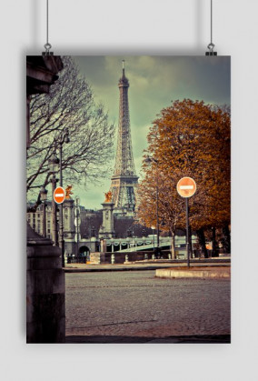 A view of the Eiffel tower from the park