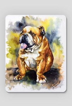 Bulldog
