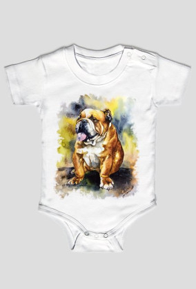 Bulldog