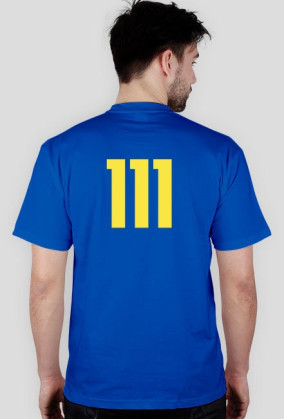 Fallout 111