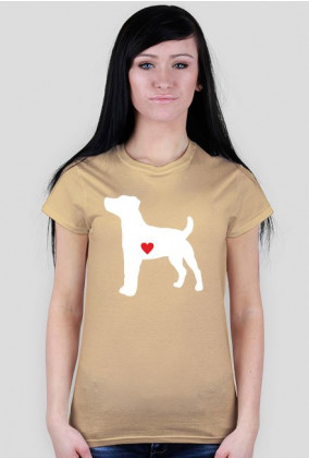 Damska koszulka - Russell Terrier