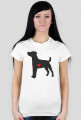 Damska koszulka - Russell Terrier - ciemny