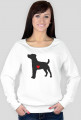 Damska bluza - Russell Terrier - ciemny