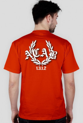 POLISH HOOLIGANS - Koszulka