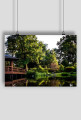 Japanese garden_09
