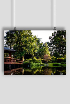 Japanese garden_09