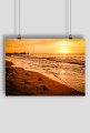 Summer_0009