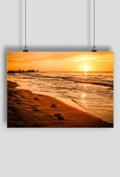 Summer_0009