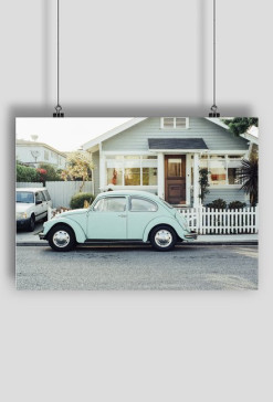 Vintage bug