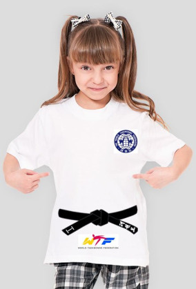 TEAKWONDO MASTER